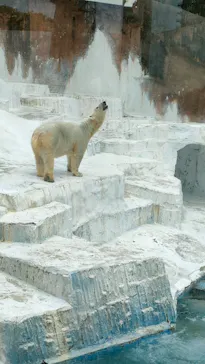 天王寺動物園に投稿された画像（2022/1/17）