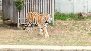 天王寺動物園に投稿された画像（2022/1/17）