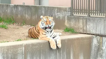天王寺動物園に投稿された画像（2022/1/17）