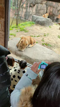 天王寺動物園に投稿された画像（2022/1/17）