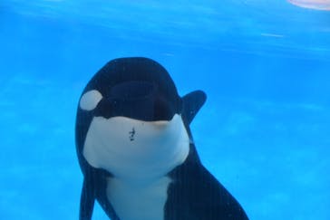 名古屋港水族館に投稿された画像（2022/1/17）