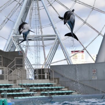 名古屋港水族館に投稿された画像（2022/1/17）