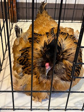 伊豆シャボテン動物公園に投稿された画像（2022/1/17）