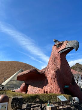 伊豆シャボテン動物公園に投稿された画像（2022/1/17）