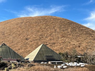 伊豆シャボテン動物公園に投稿された画像（2022/1/17）