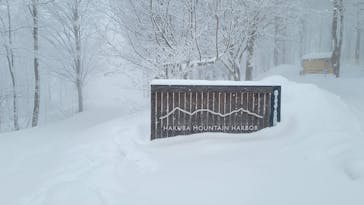 白馬岩岳スノーフィールドに投稿された画像（2022/1/17）