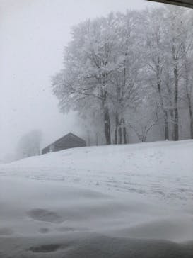 白馬岩岳スノーフィールドに投稿された画像（2022/1/17）