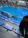 マクセル アクアパーク品川に投稿された画像（2022/1/17）