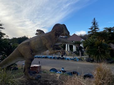 伊豆ぐらんぱる公園に投稿された画像（2022/1/17）