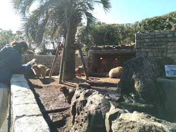 伊豆シャボテン動物公園に投稿された画像（2022/1/17）