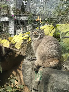 神戸どうぶつ王国に投稿された画像（2022/1/17）