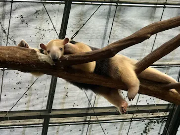 神戸どうぶつ王国に投稿された画像（2022/1/17）