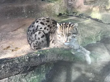 神戸どうぶつ王国に投稿された画像（2022/1/17）