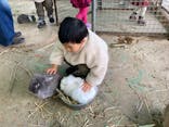 しろとり動物園に投稿された画像（2022/1/17）