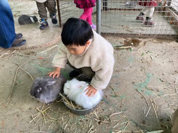しろとり動物園に投稿された画像（2022/1/17）