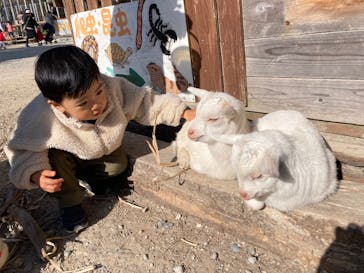 しろとり動物園に投稿された画像（2022/1/17）
