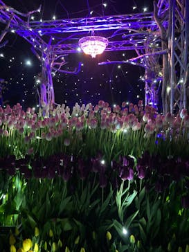 江の島シーキャンドルに投稿された画像（2022/1/17）