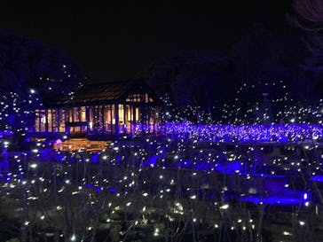 江の島シーキャンドルに投稿された画像（2022/1/17）