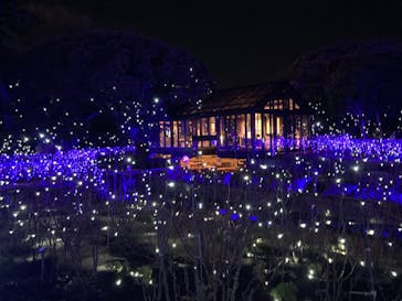 江の島シーキャンドルに投稿された画像（2022/1/17）