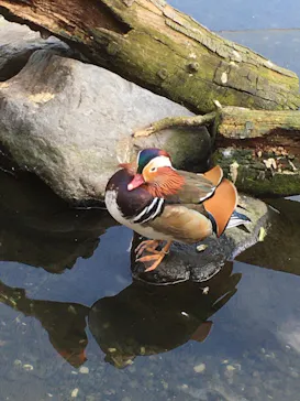 神戸どうぶつ王国に投稿された画像（2022/1/17）