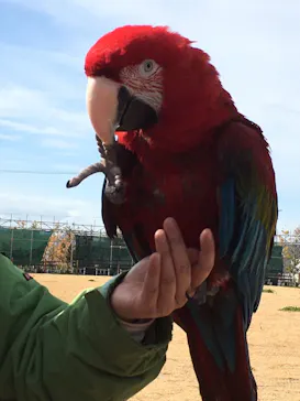 神戸どうぶつ王国に投稿された画像（2022/1/17）