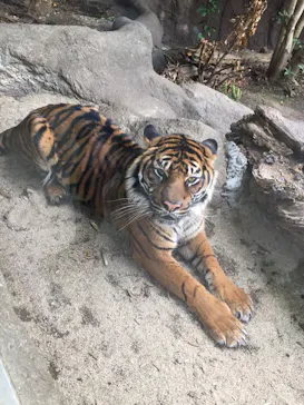 神戸どうぶつ王国に投稿された画像（2022/1/17）