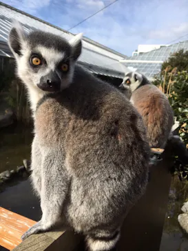 神戸どうぶつ王国に投稿された画像（2022/1/17）