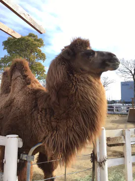 神戸どうぶつ王国に投稿された画像（2022/1/17）