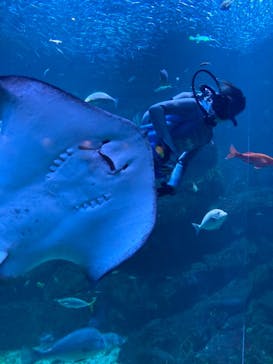 京都水族館に投稿された画像（2022/1/17）