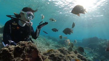 DIVING-SHOP SUNSに投稿された画像（2022/1/17）