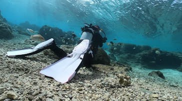 DIVING-SHOP SUNSに投稿された画像（2022/1/17）