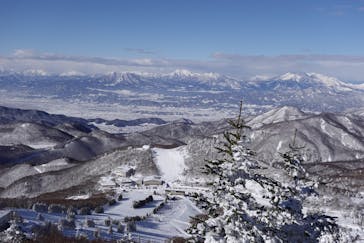 志賀高原中央エリアスキー場に投稿された画像（2022/1/17）
