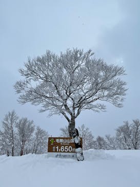 野沢温泉スキー場に投稿された画像（2022/1/17）
