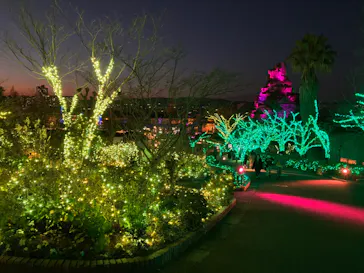 ひらかたパークに投稿された画像（2022/1/17）