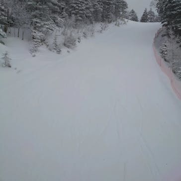 野麦峠スキー場に投稿された画像（2022/1/17）