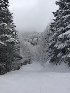 野麦峠スキー場に投稿された画像（2022/1/17）