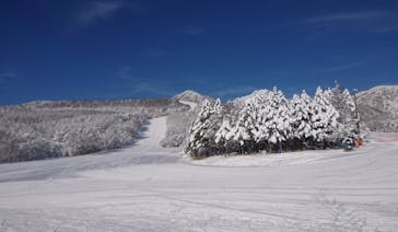 サンメドウズ清里に投稿された画像（2022/1/17）