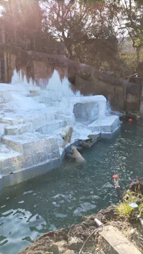 天王寺動物園に投稿された画像（2022/1/17）