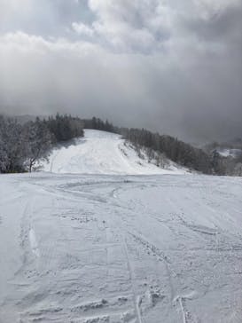 木曽福島スキー場に投稿された画像（2022/1/17）