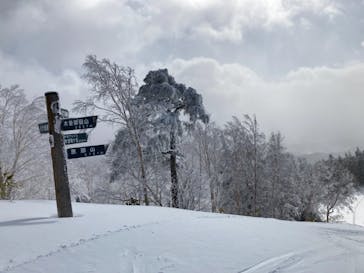 木曽福島スキー場に投稿された画像（2022/1/17）