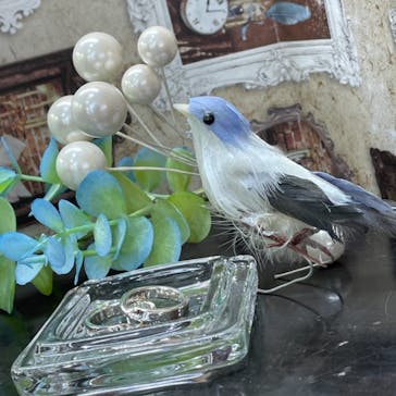 Caravella（カラベラ）に投稿された画像（2022/1/17）