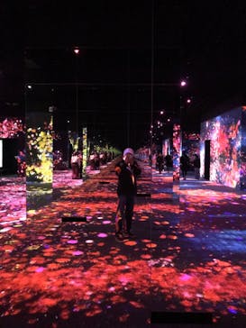 森ビル デジタルアート ミュージアム：エプソン チームラボボーダレスに投稿された画像（2022/1/17）