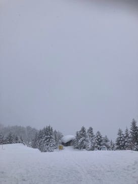 志賀高原マウンテンリゾートに投稿された画像（2022/1/17）