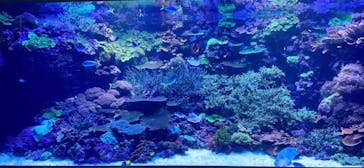 大分マリーンパレス水族館 「うみたまご」に投稿された画像（2022/1/17）