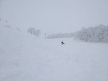 白馬八方尾根スキー場に投稿された画像（2022/1/18）