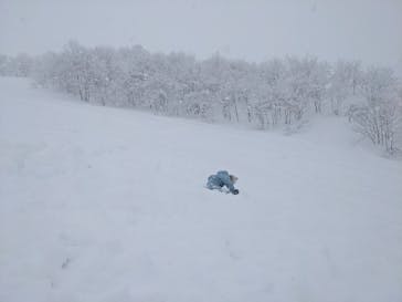 白馬八方尾根スキー場に投稿された画像（2022/1/18）