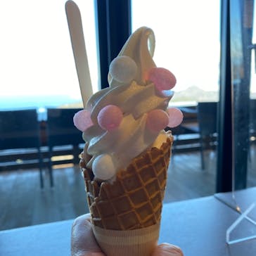 伊豆パノラマパークに投稿された画像（2022/1/18）