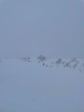 Hakuba47ウィンタースポーツパークに投稿された画像（2022/1/18）