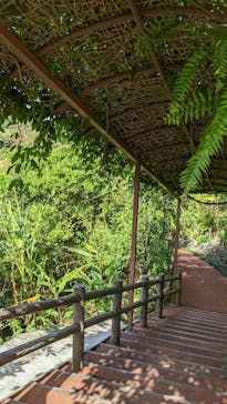 御菓子御殿　名護店　やんばる亜熱帯の森DINO恐竜PARKに投稿された画像（2022/1/18）