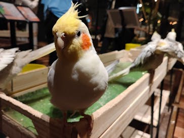 Moff animal world MARK IS みなとみらい店に投稿された画像（2022/1/18）